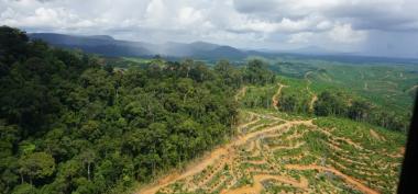 Dinas Lingkungan Hidup