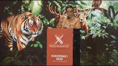 Deforestasi Legal Tinggi Mengemuka, Izin Resmi Dinilai Picu Kerusakan Hutan Nasional