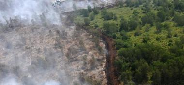 Dinas Lingkungan Hidup