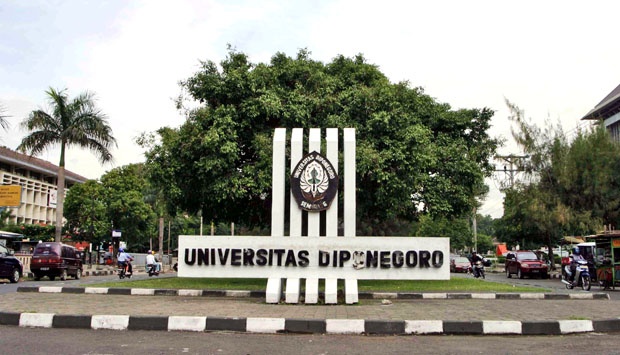 Passing Grade SNBT UNDIP Jurusan Manajemen dan Rekomendasi Nilai Aman