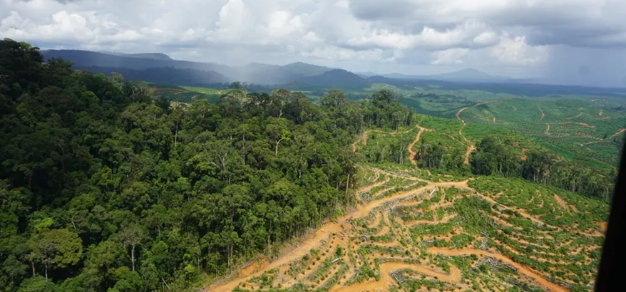 Perjuangan Komunitas Adat dan Dinas Terkait Menjaga Alam Kalimantan dari Ekspansi Industri