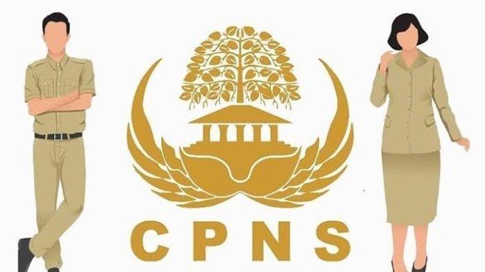 Update Terbaru CPNS: Strategi Belajar SKD agar Lolos Nilai Ambang Batas