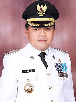 Mengenal Lebih Dekat: Profil Gubernur Al Haris Provinsi Jambi dan Kiprahnya dalam Politik