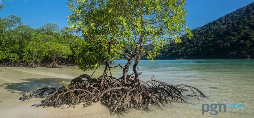 Mengapa Biodiversity Penting bagi Kehidupan Manusia Kedepan?