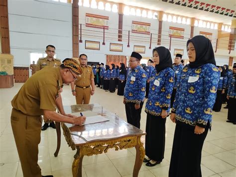 CPNS 2026 Nasional: Cek Lokasi SKD dan Tips Menghindari Kesalahan Umum