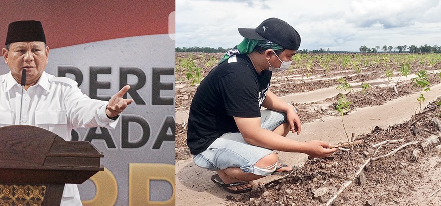 Dana Rp 108.8 Triliun Terbuang Percuma: Food Estate Gagal, Prabowo Harus Tanggung Jawab Kerusakan Hutan!
